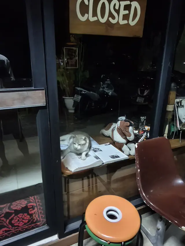 ตี๋ใหญ่นอนในร้านนนน